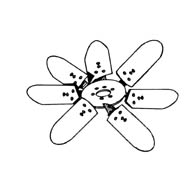 004139-4